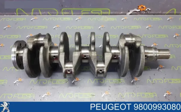 Cambota de motor MINI Cooper hatchback (R56) (2005 - 2014) preço, a partir de
