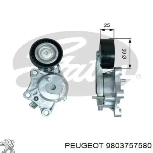 Reguladora de tensão da correia de transmissão 9803757580 Peugeot/Citroen
