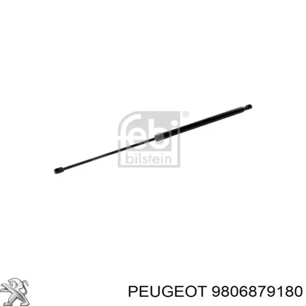 Amortecedor de tampa de porta-malas (de 3ª/5ª porta traseira) 9806879180 Peugeot/Citroen