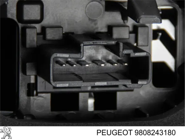Lanterna traseira esquerda 9808243180 Peugeot/Citroen