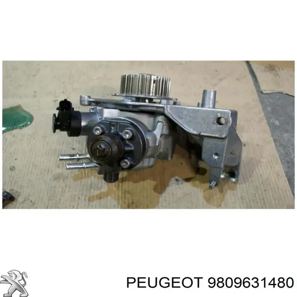  Peugeot/Citroen 9809631480