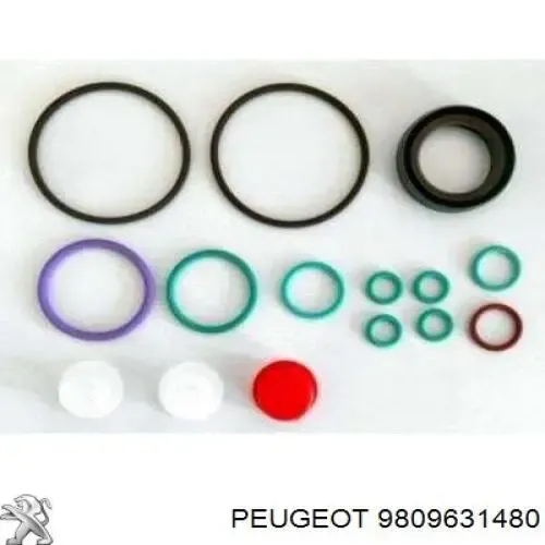 Bomba de combustível de pressão alta Peugeot/Citroen 9809631480