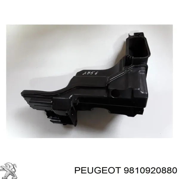 Ressonador de filtro de ar 9810920880 Peugeot/Citroen