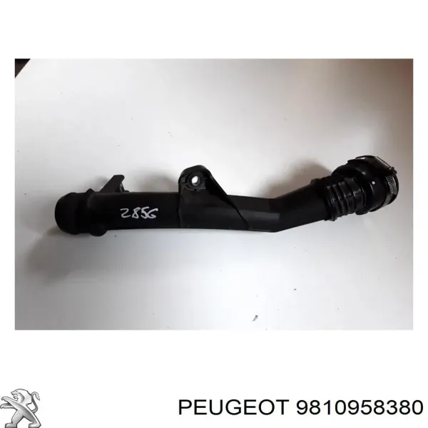 Mangueira (cano derivado) de intercooler 9810958380 Peugeot/Citroen