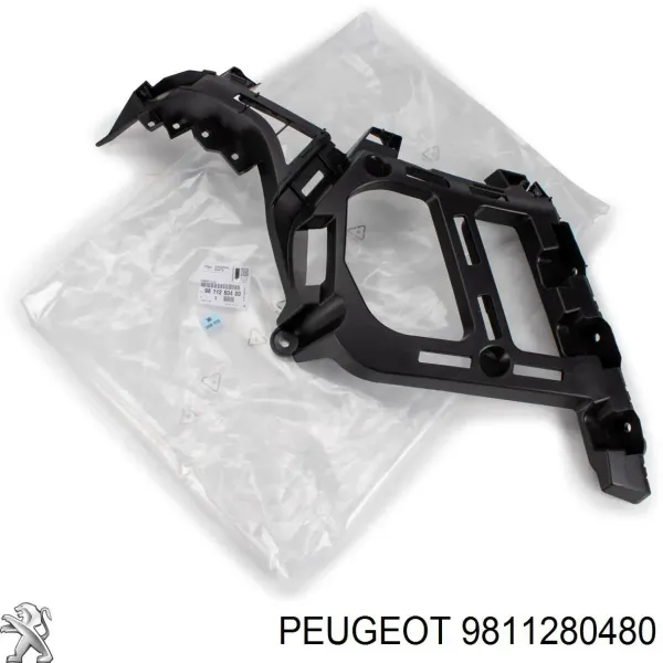Guia esquerda do pára-choque traseiro 9811280480 Peugeot/Citroen