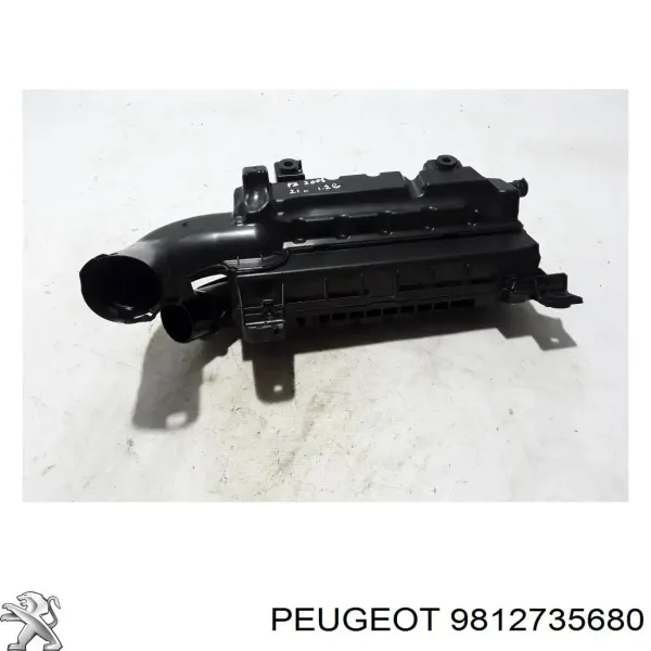 Caixa de filtro de ar 9812735680 Opel