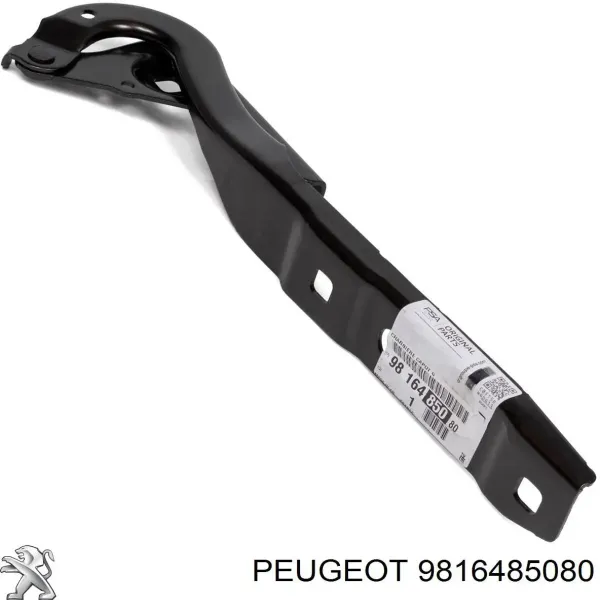 Gozno da capota esquerdo 9816485080 Peugeot/Citroen