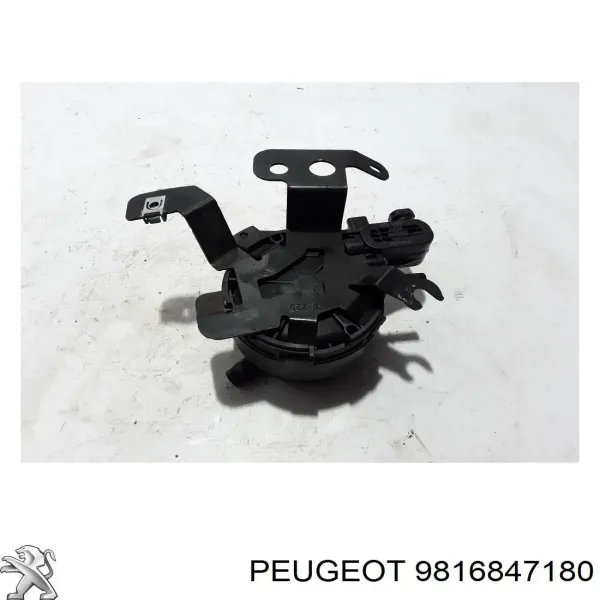 Caixa de filtro de combustível 9816847180 Peugeot/Citroen