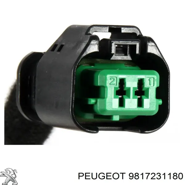  9817231180 Peugeot/Citroen