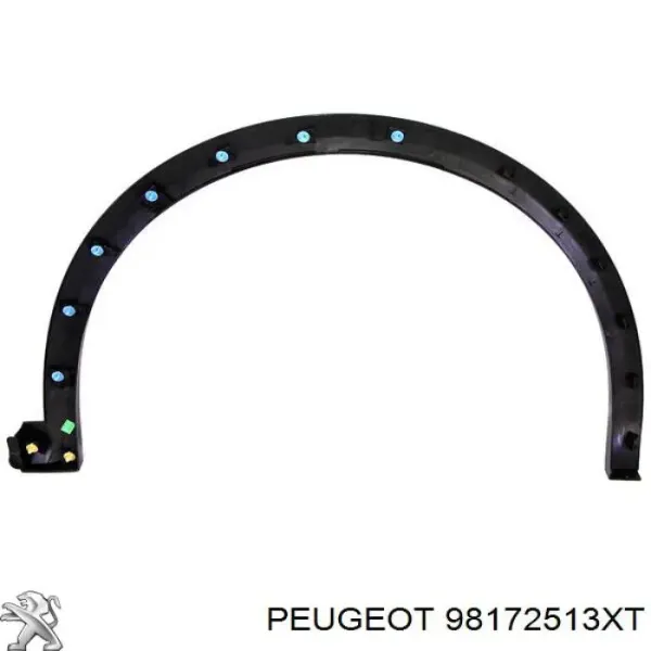  98172513XT Peugeot/Citroen