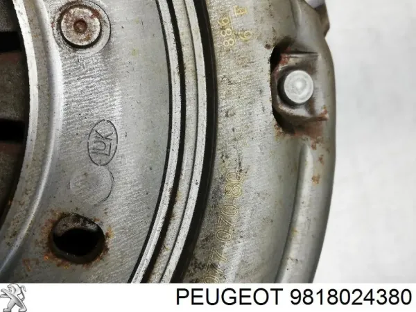Volante de motor 9818024380 Peugeot/Citroen