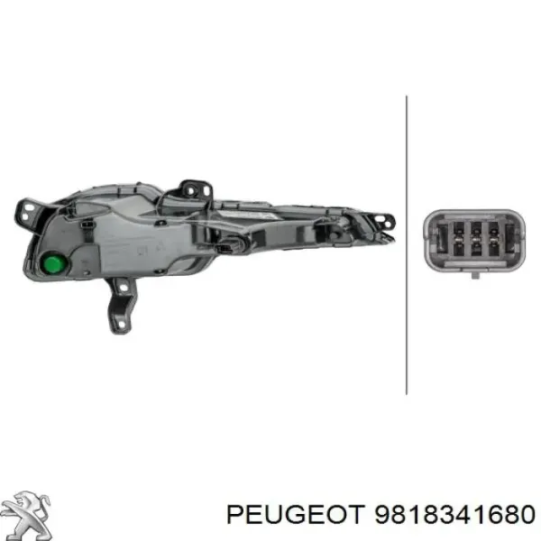 Pisca-pisca esquerdo 9818341680 Peugeot/Citroen