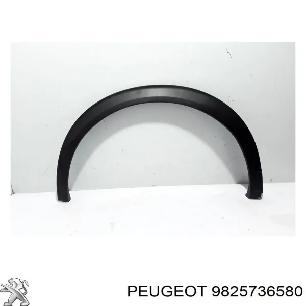  9825736580 Peugeot/Citroen