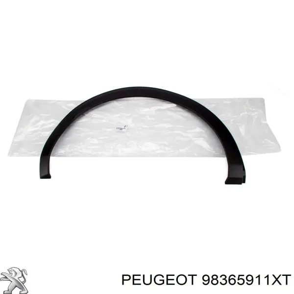 Expansor direito (placa sobreposta) de arco do pára-lama traseiro 9825289077 Peugeot/Citroen