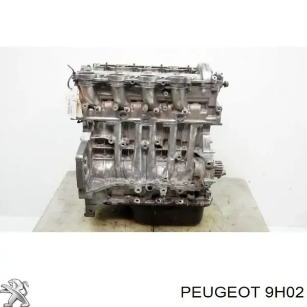 Bloco de cilindros de motor 9H02 Peugeot/Citroen
