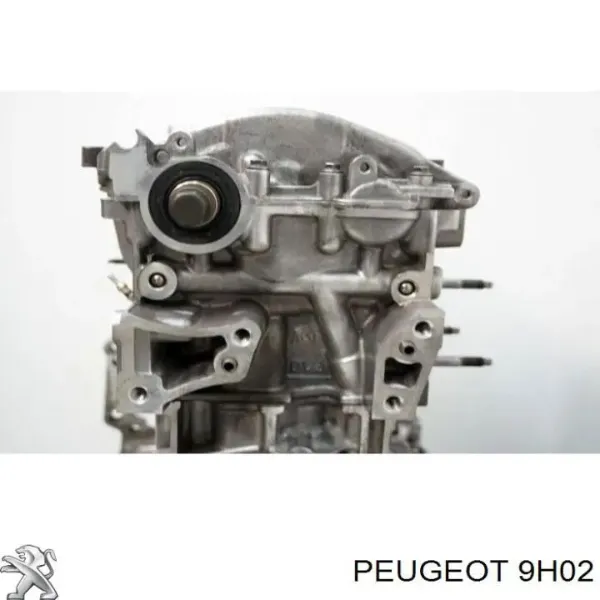 Bloco de cilindros de motor 9H02 Peugeot/Citroen