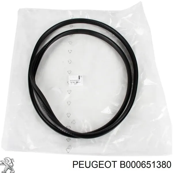  B000651380 Peugeot/Citroen