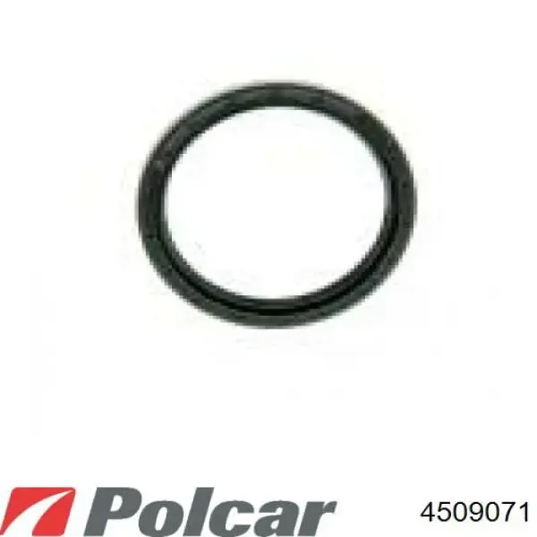 Compre 4509071 Polcar Pára-choque dianteiro