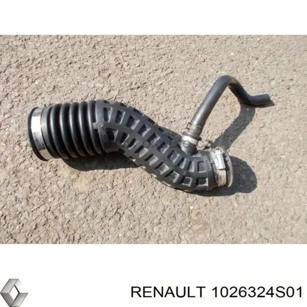  1026324S01 Renault (RVI)