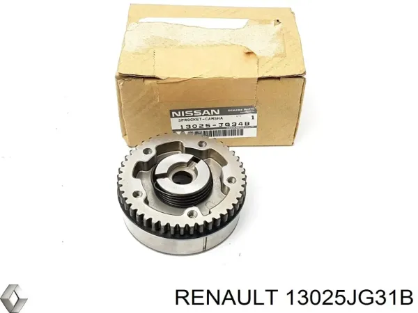 Engrenagem de cadeia da roda dentada da árvore distribuidora de motor 13025JG34B Nissan/Infiniti