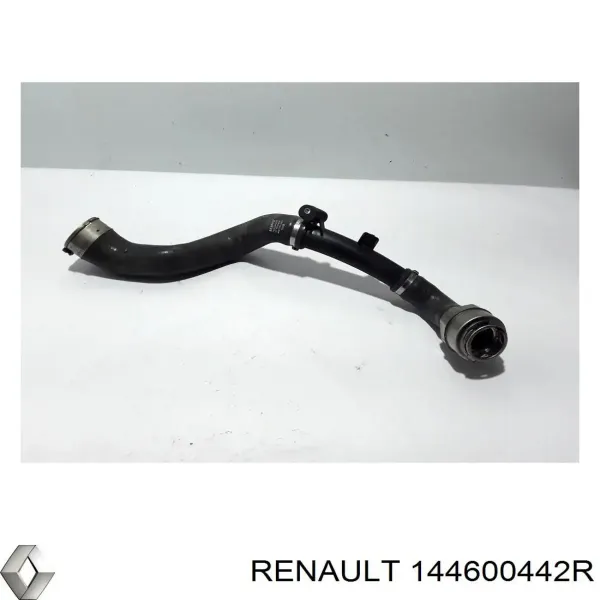 Mangueira (cano derivado) de intercooler 144600442R Renault (RVI)