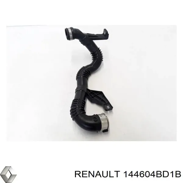 Mangueira (cano derivado) de intercooler 144604BD1B Renault (RVI)