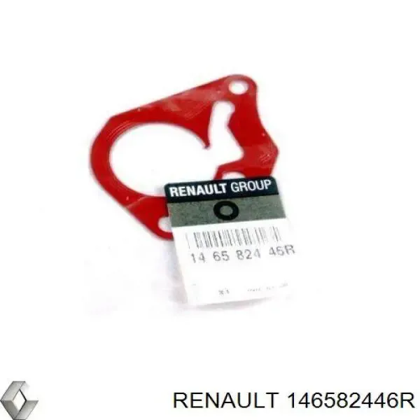 Vedante de bomba de vácuo 146582446R Renault (RVI)