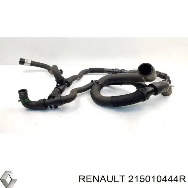 Mangueira (cano derivado) do radiador de esfriamento superior 215010444R Renault (RVI)