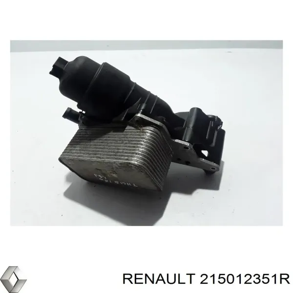 Mangueira (cano derivado) do radiador de esfriamento superior 215012351R Renault (RVI)