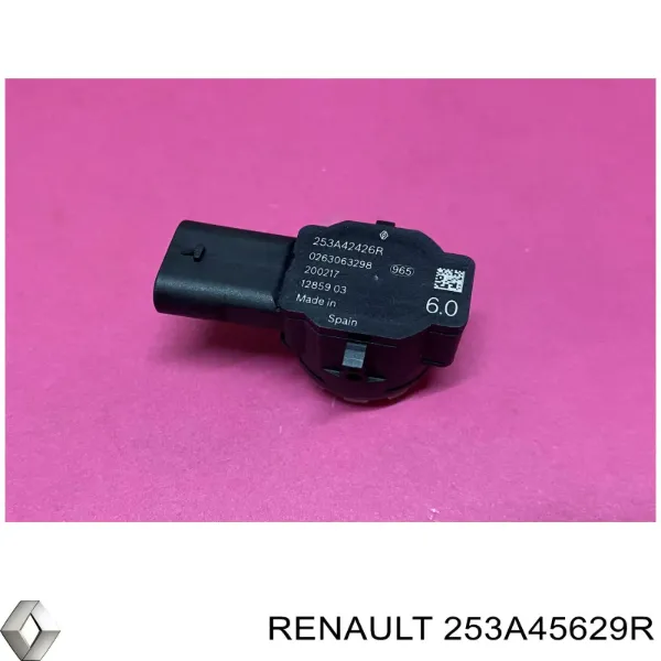  253A45629R Renault (RVI)