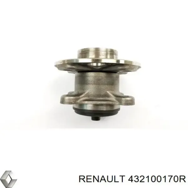 Cubo traseiro 432100170R Renault (RVI)