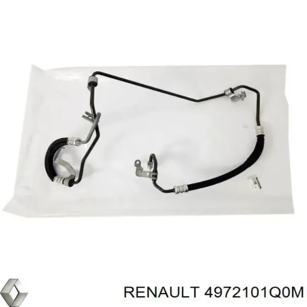  4972101Q0M Renault (RVI)