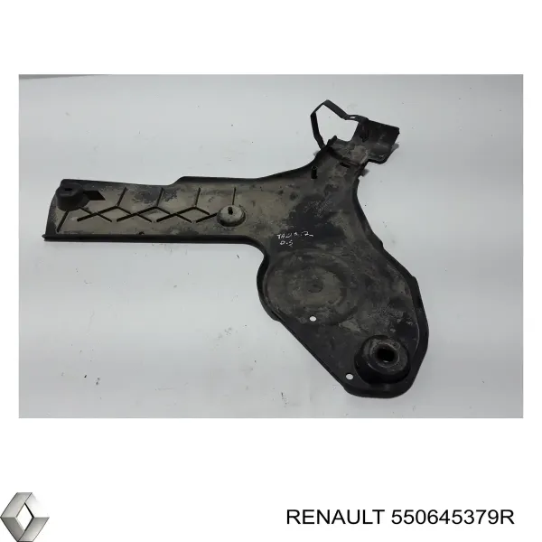 Proteção de viga traseira (de plataforma veicular) 550645379R Renault (RVI)