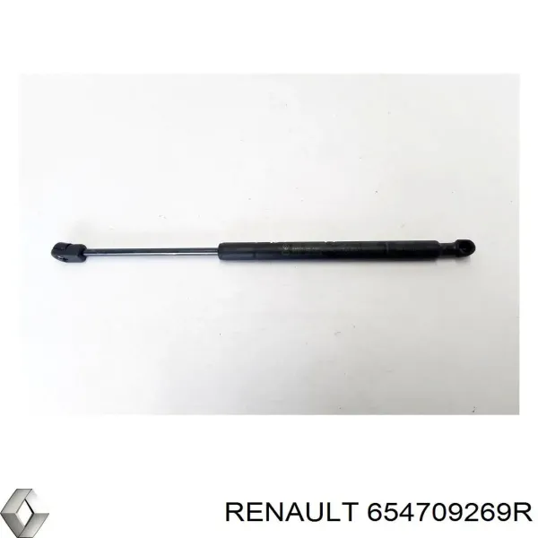  654709269R Renault (RVI)