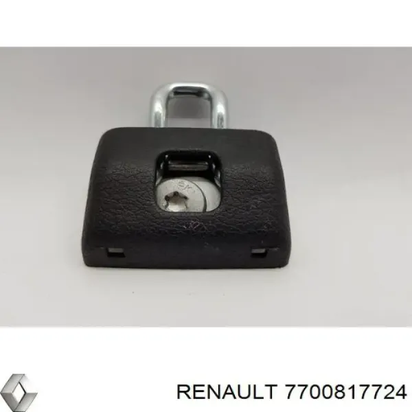 Gozno de garra (parte complementar) de fecho da porta traseira (de bagageiro, 3ª/5ª) 7700817724 Renault (RVI)