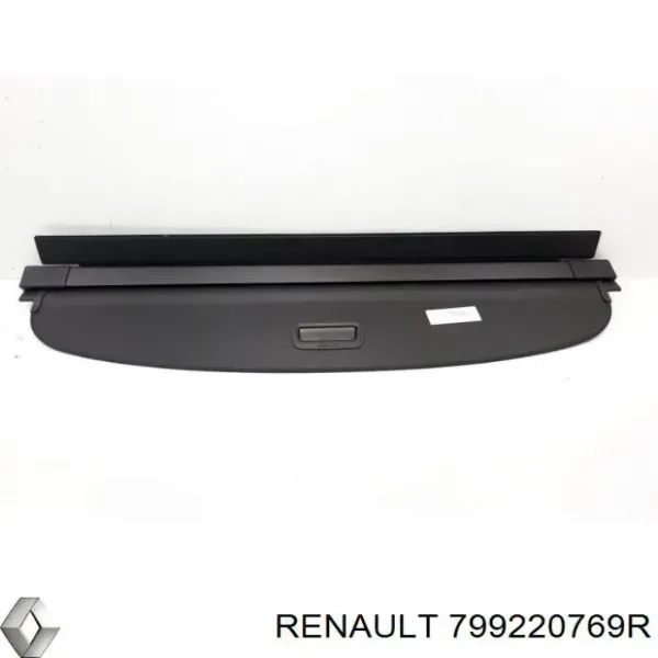  799220769R Renault (RVI)