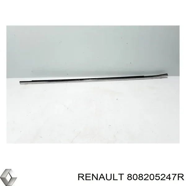  808205247R Renault (RVI)