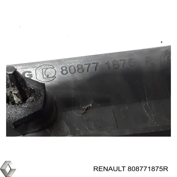  808771875R Renault (RVI)