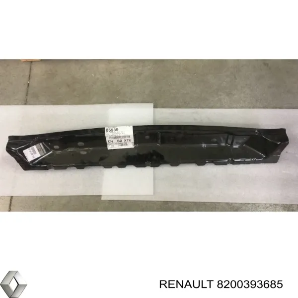 Suporte do radiador montado (painel de montagem de fixação das luzes) 8200393685 Renault (RVI)