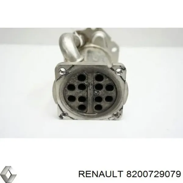  8200729079 Renault (RVI)