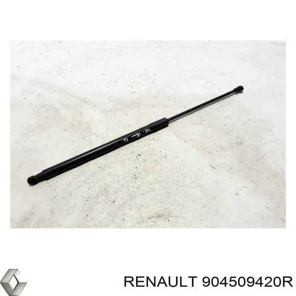  904509420R Renault (RVI)