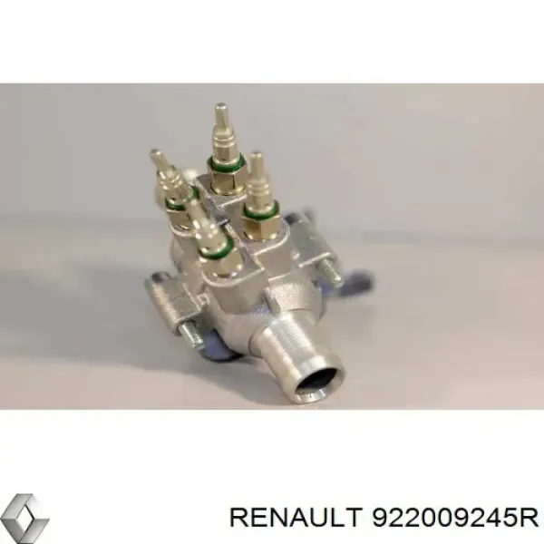Aquecedor elétrico do fluido de esfriamento 922009245R Renault (RVI)