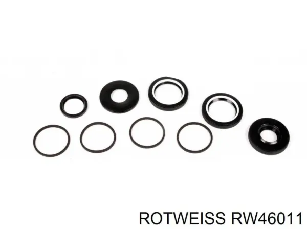 Kit de reparação da cremalheira da direção (do mecanismo), (kit de vedantes) RW46011 Rotweiss