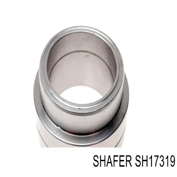 Rolamento de cubo traseiro SH17319 Shafer