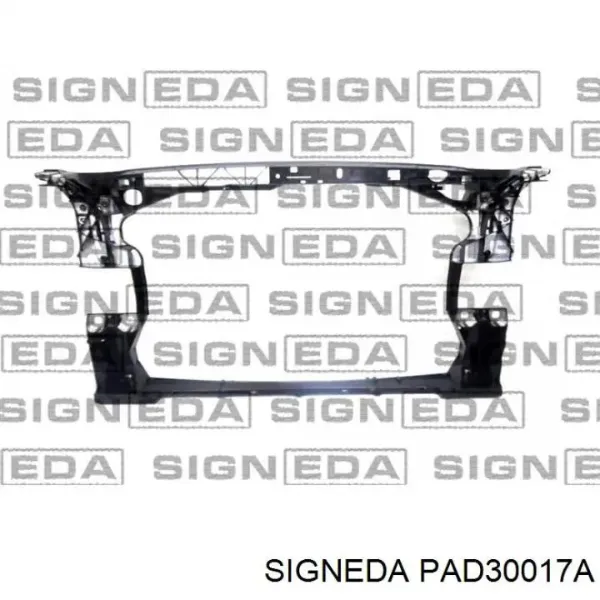 Suporte do radiador montado (painel de montagem de fixação das luzes) PAD30017A Signeda