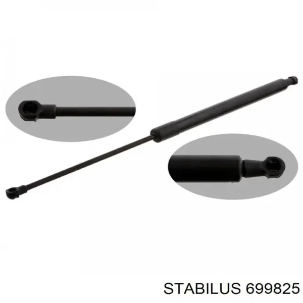 Amortecedor de tampa de porta-malas (de 3ª/5ª porta traseira) 904502954R Renault (RVI)