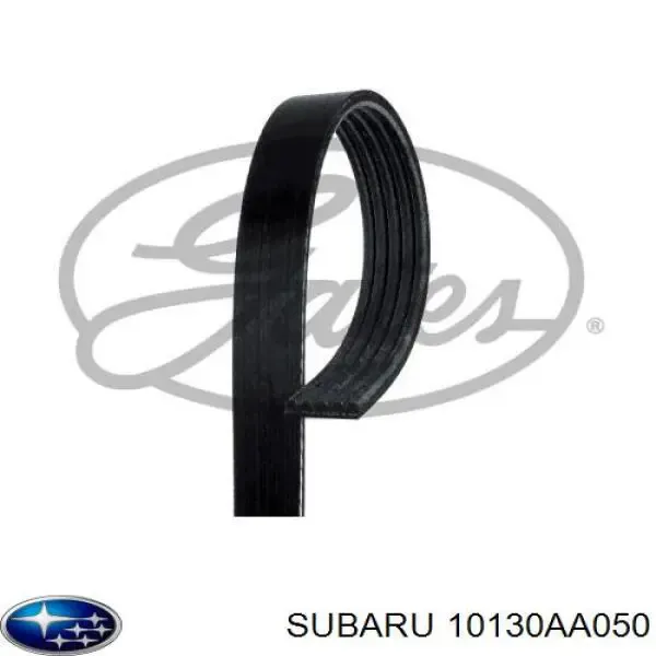 Correia dos conjuntos de transmissão 10130AA050 Subaru