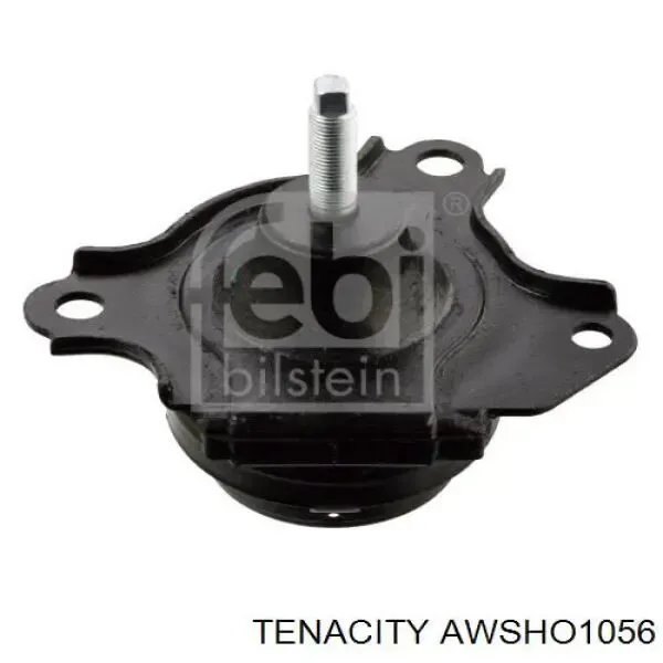 Coxim (suporte) direito de motor AWSHO1056 Tenacity
