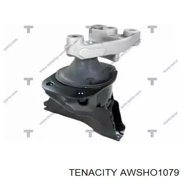 Coxim (suporte) direito inferior de motor AWSHO1079 Tenacity