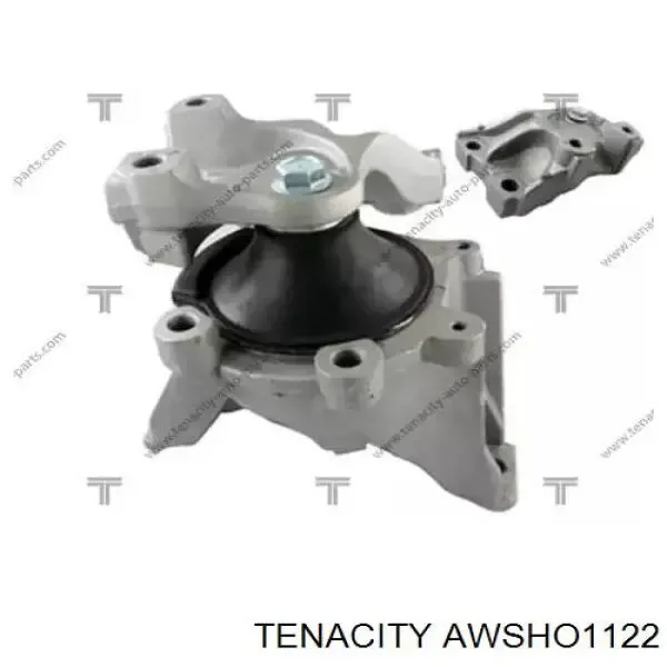 Coxim (suporte) direito inferior de motor AWSHO1122 Tenacity